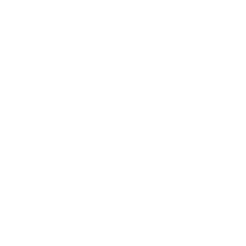 logo icon