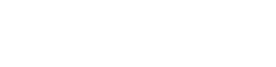 logo icon